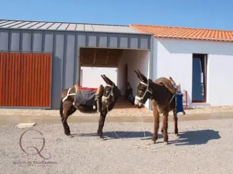 Quinta de São Gabriel - Foto 1