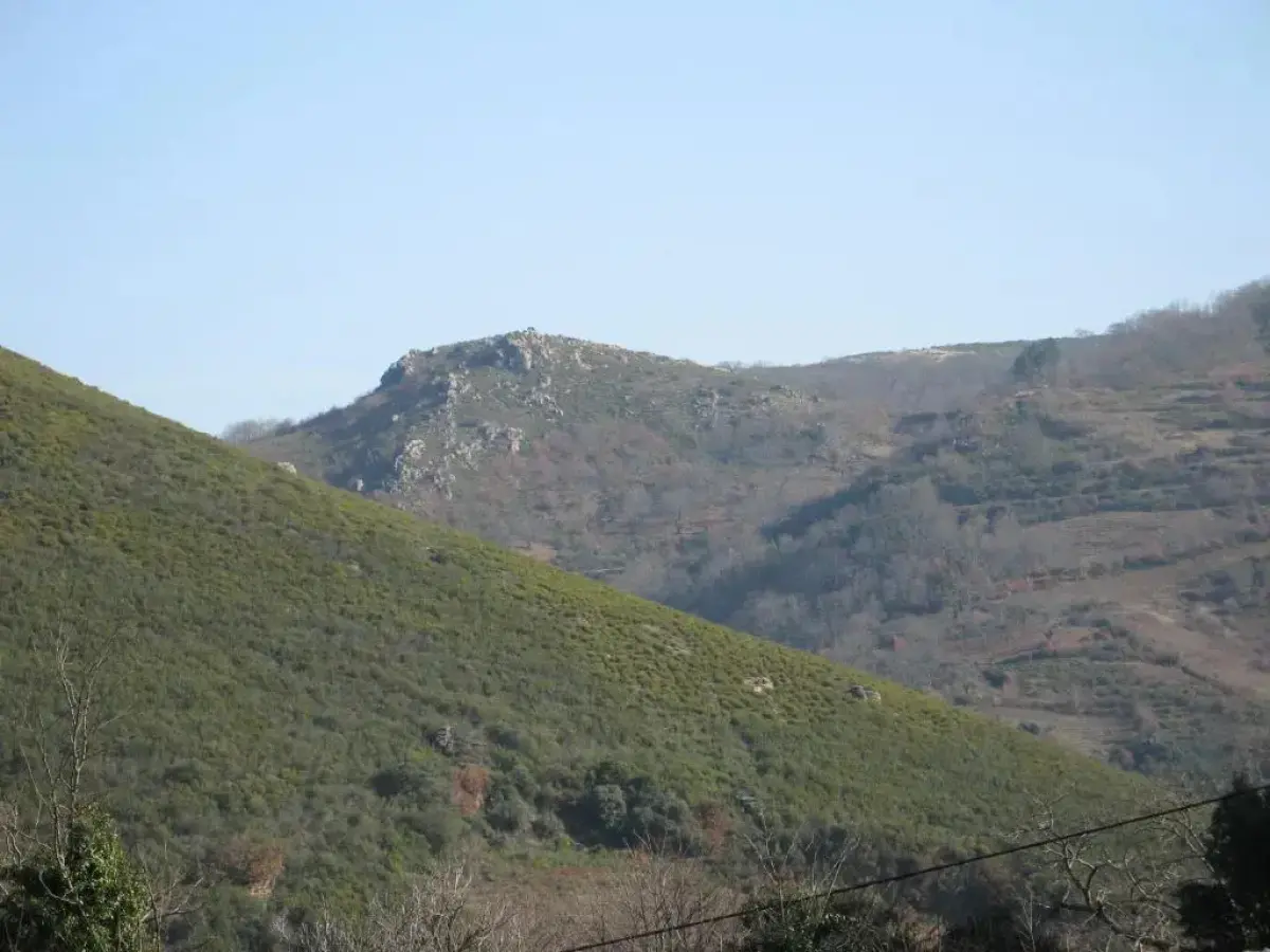 Quinta Dos Castanheiros - Turismo Rural