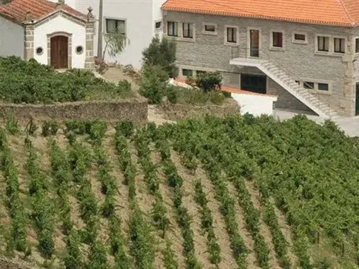 Quinta Santo Antonio do Rio