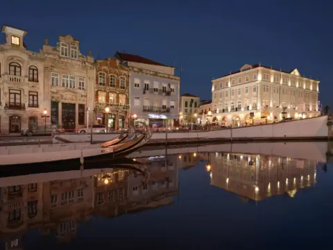 Turim Aveiro Palace Hotel - Photo 1