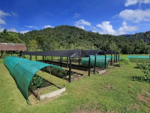 500Rai Farmhouse Khaosok - Photo 4