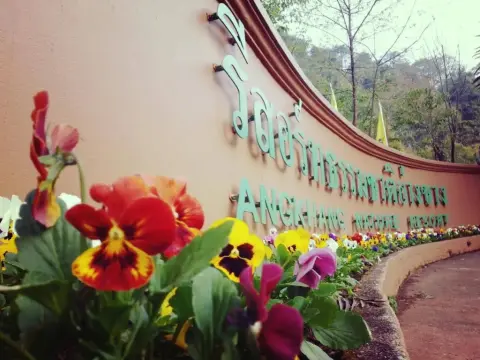 Angkhang Nature Resort - Photo 1