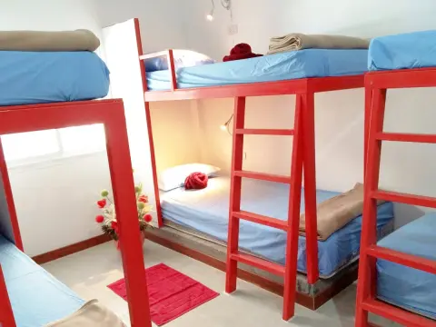 Asleep Hostel - Photo 3