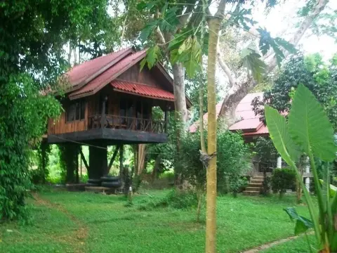 Bamboo House - Photo 1