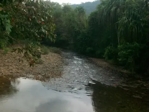 Bamboo House - Photo 3