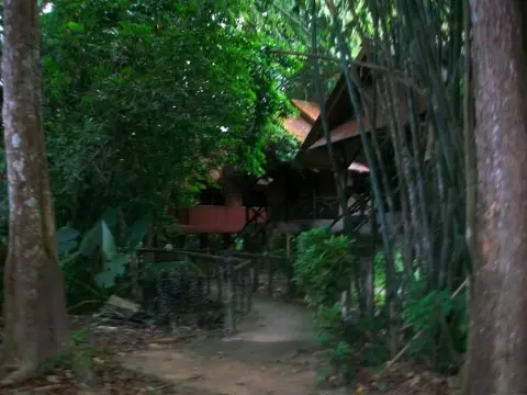 Bamboo House - Photo 4