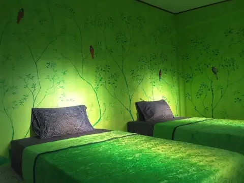 Bee Sleep Hostel Lonely Beach - Adults Only - Photo 1