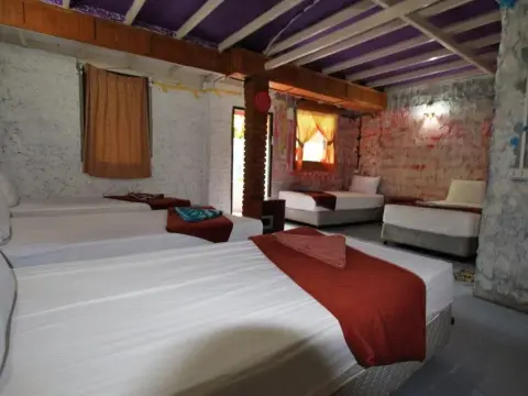Film House - Photo 4