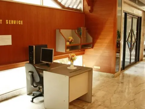 Golden Horse - Photo 2