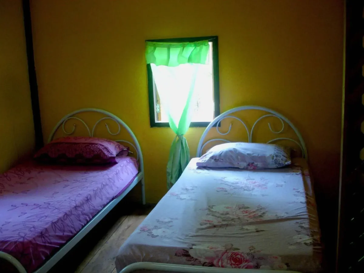Jungle Zone - Hostel