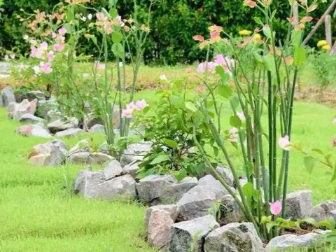 Khao Baisi View Resort (เขาบายศรี วิว รีสอร์ท) - Photo 3