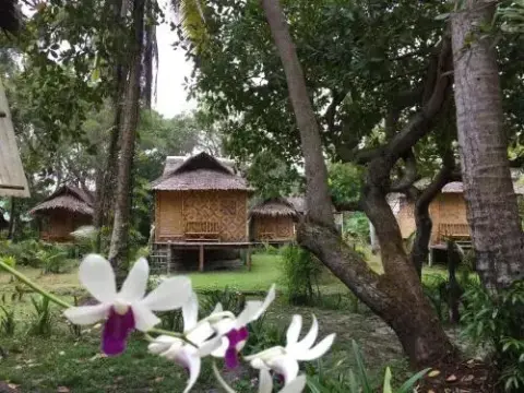 Koh Mook Coco Lodge - Photo 4
