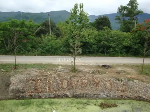 Love Green - Photo 4