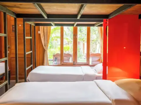 Mad Monkey Pai - Photo 2