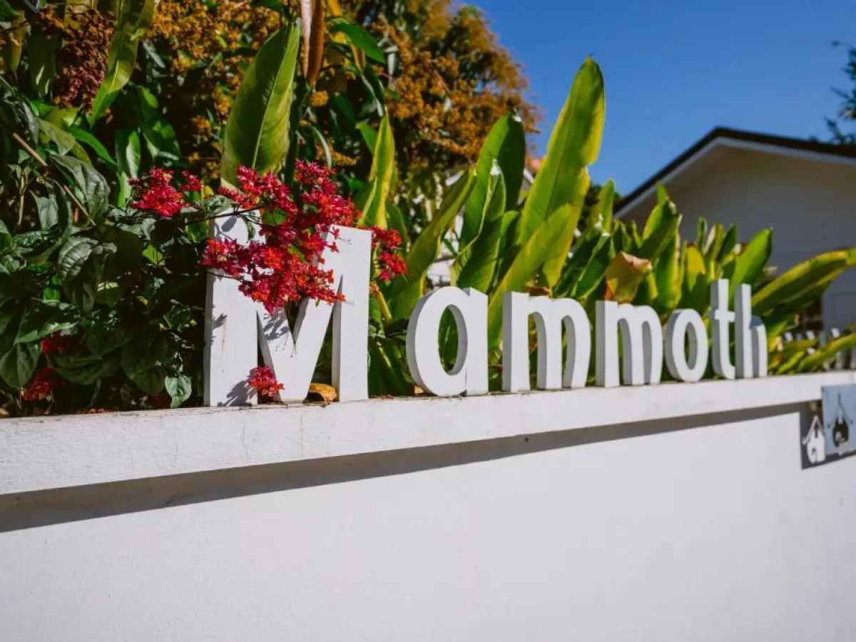 Mammoth Boutique Hotel