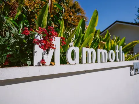 Mammoth Boutique Hotel - Photo 1