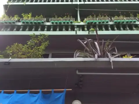 Nesuto Hostel & Cafe Ramkamhaeng 52 - Photo 1
