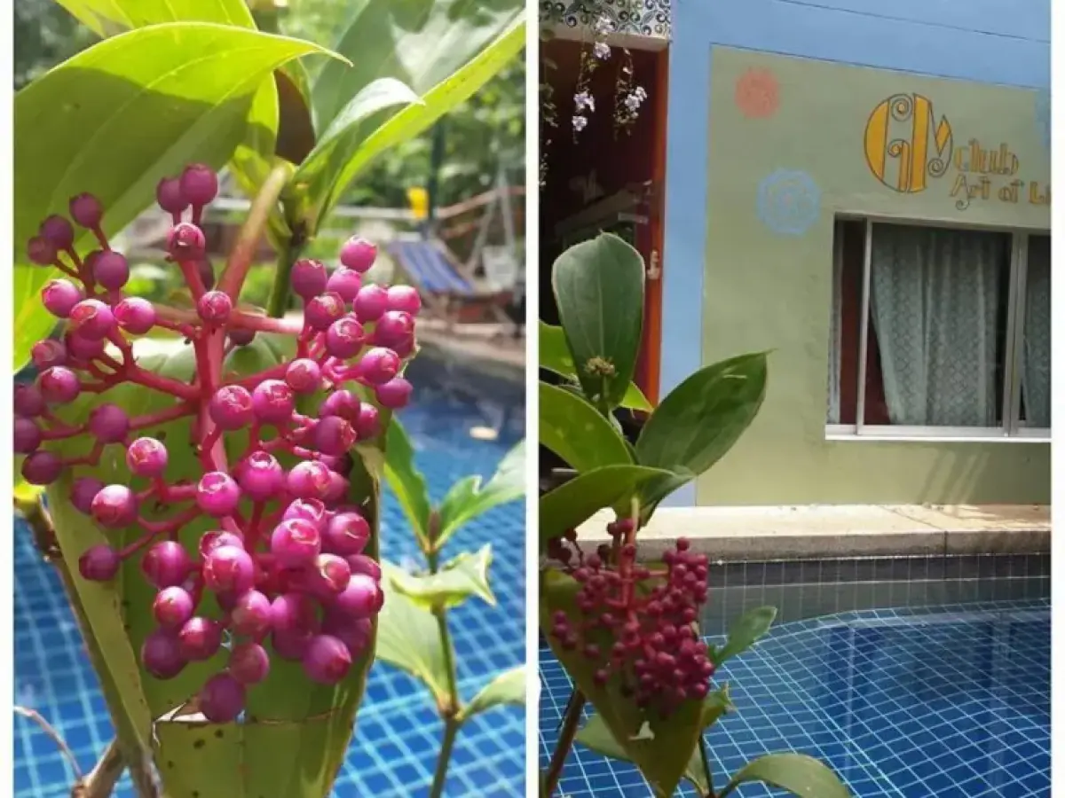 Nida Rooms Phorkhuntalae 25 Aquarius