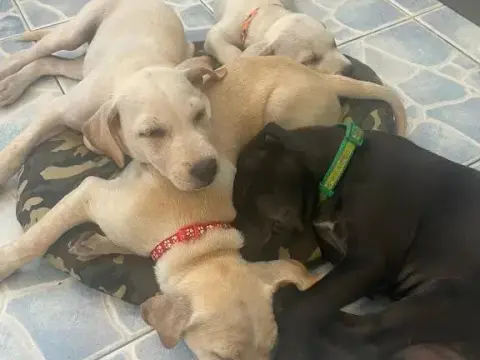 N.O Hostel - Photo 3