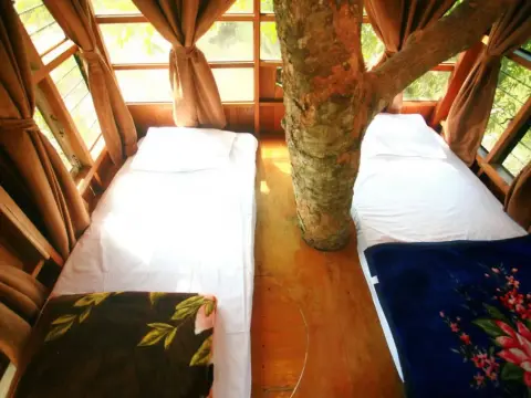 Pai Treehouse Resort - Photo 4