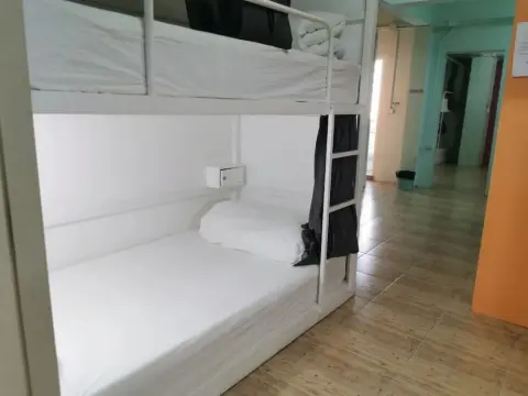 Panda Hostel Phuket - Adults Only - Photo 3