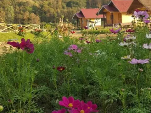Peisanae Faikeng Resort - Photo 2