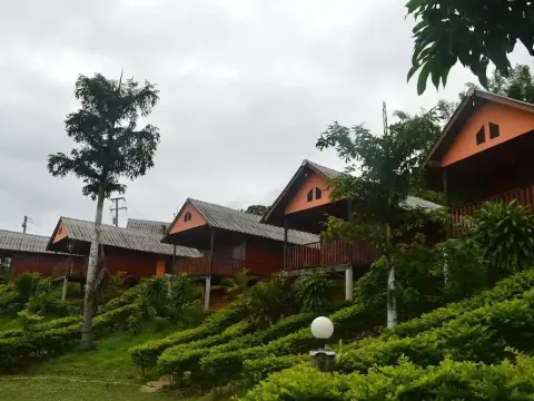 Phucheefah Homestay - Photo 3