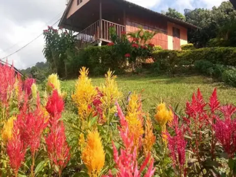 Phucheefah Homestay - Photo 4