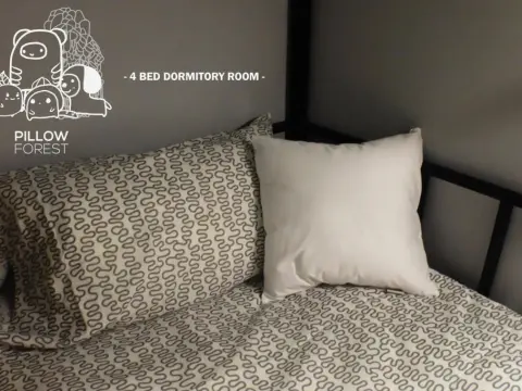 Pillow Land Onnut - Photo 4