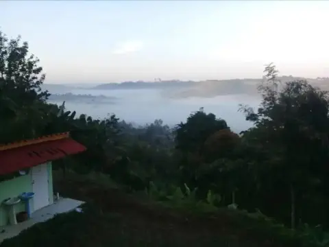 Pooarbdao 2 - Photo 4