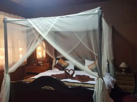 Ruenwimarn - Photo 2