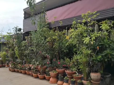 Sam Cee Resort - Photo 1