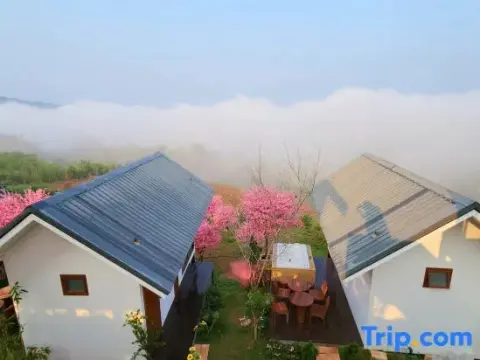 Sirine Onsen - Photo 2