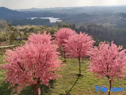Sirine Onsen - Photo 3