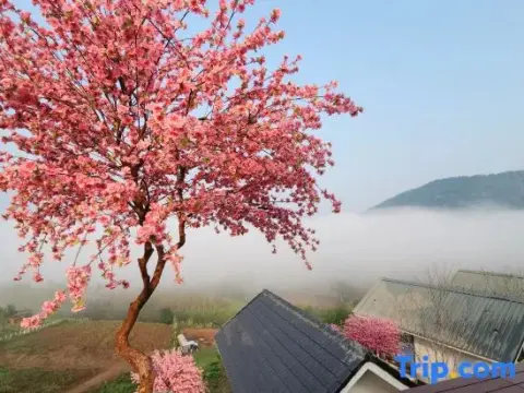 Sirine Onsen - Photo 4