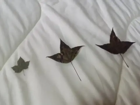 The Local Story Home Stay 1 - Photo 2