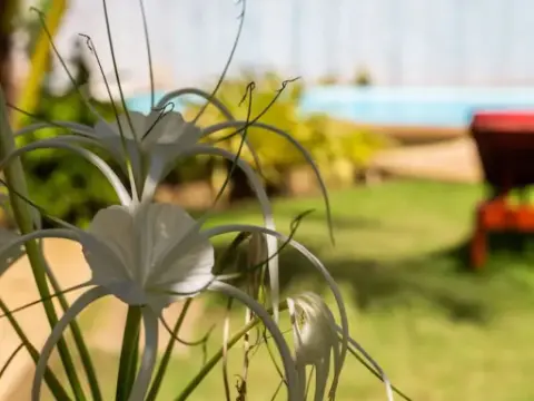 The Mayan Apartment - Photo 2