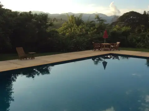 The Quinlins - Foto 1