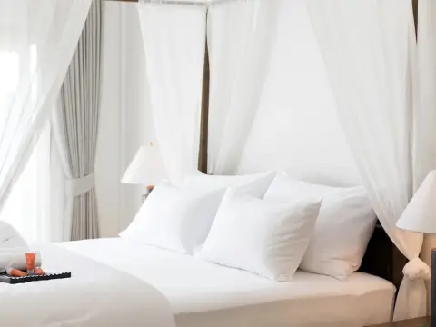 The Tippanet - Photo 4