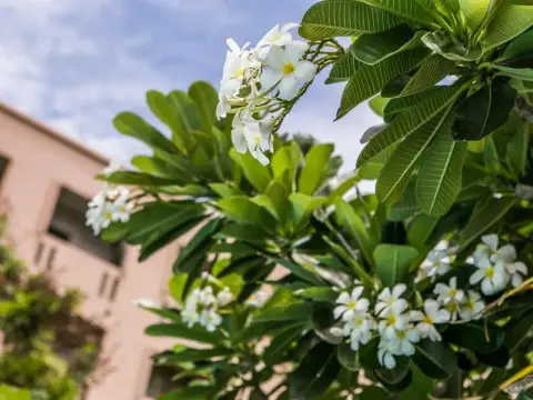 United Place - Foto 2