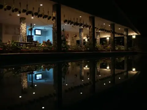 Wake A Lot - Photo 2