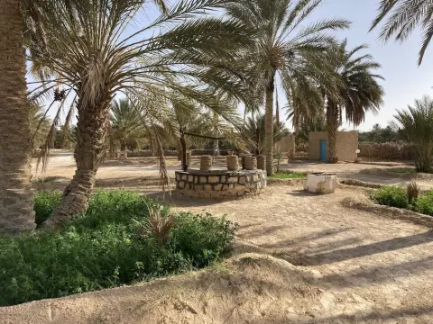 Les Amis du Camping - Photo 3