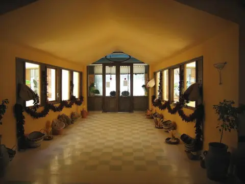 Hotel African Queen Hotel - Photo 3