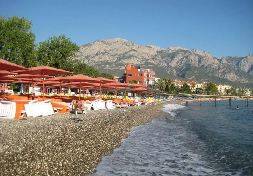 Alerya Hotel - Foto 3