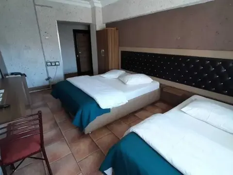 Altay Hotel - Photo 3