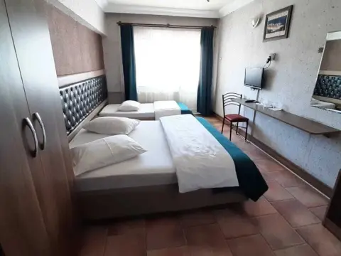 Altay Hotel - Photo 4