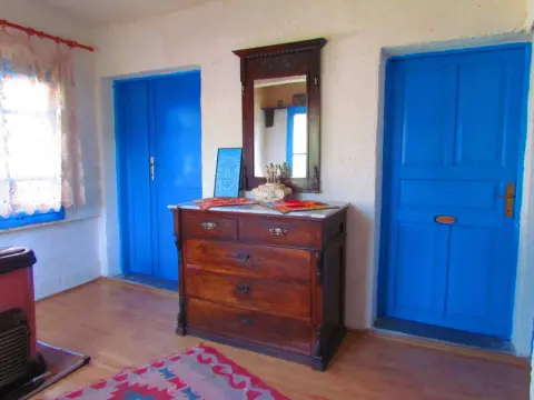 Amazon Antique - Photo 3