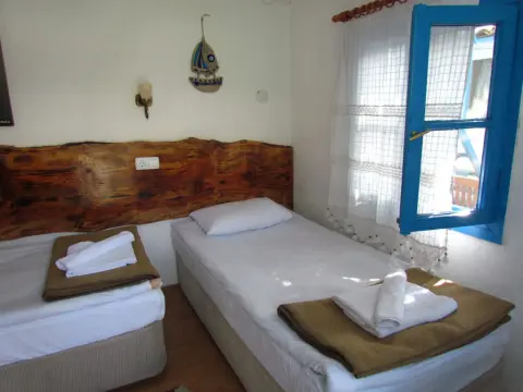 Amazon Antique - Photo 4