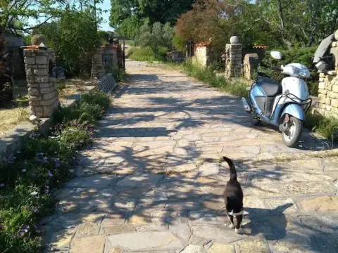 Anemon Ozdemir Bag Evi - Foto 3