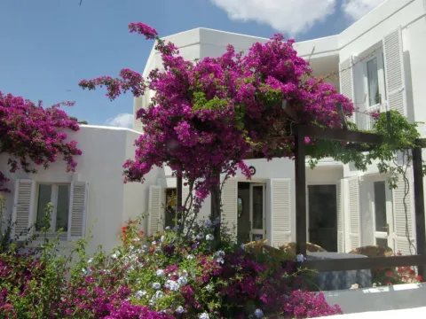 Antique Theatre Hotel - Photo 1